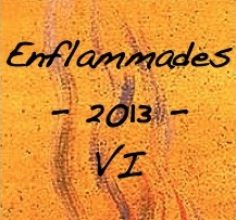 Enflammades 2013 #6