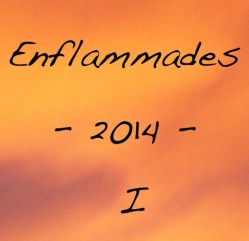 Enflammades 2014 #1