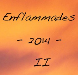 Enflammades 2014 #2