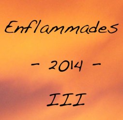 Enflammades 2014 #3